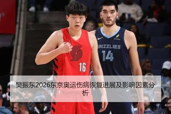 樊振东2026东京奥运伤病恢复进展及影响因素分析